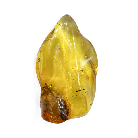 Natural Amber Wave Shape Stone With Insects