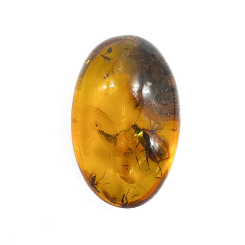 Natural Amber Free Shape Stone With Insects