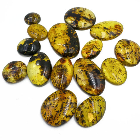 Fossil Amber Free Shape Cabochons