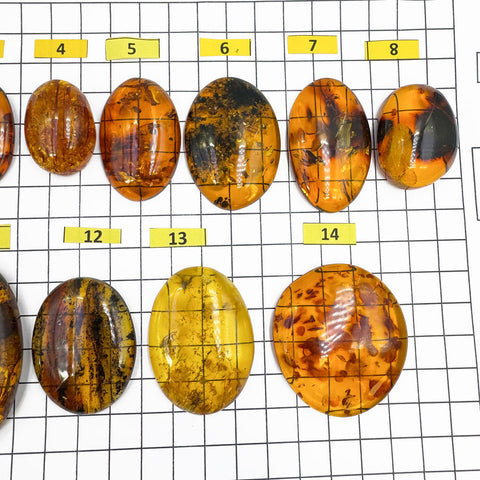 Cognac Amber Free Shape Cabochons