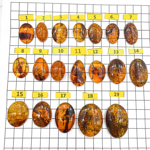 Cognac Amber Free Shape Cabochons