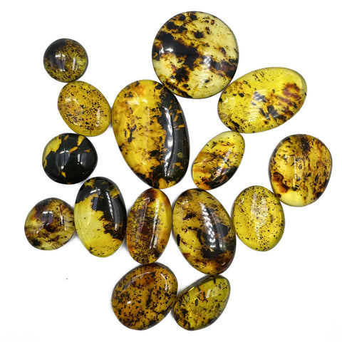 Fossil Amber Free Shape Cabochons