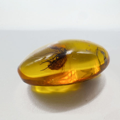 Natural Amber Free Shape Stone With Insects