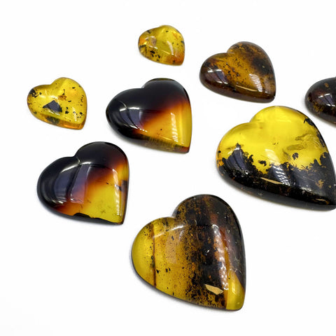 Fossil Amber Heart Shape Cabochons
