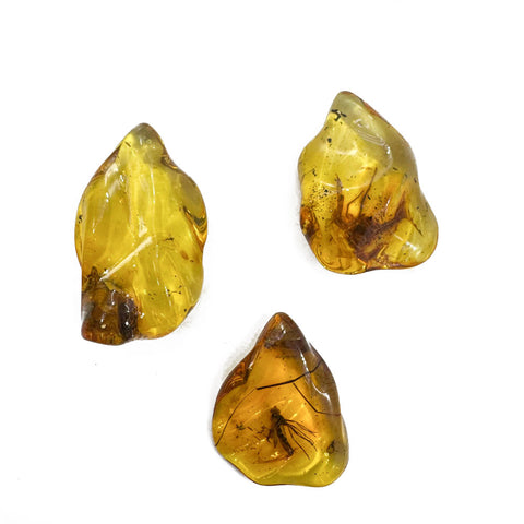 Natural Amber Wave Shape Stone With Insects