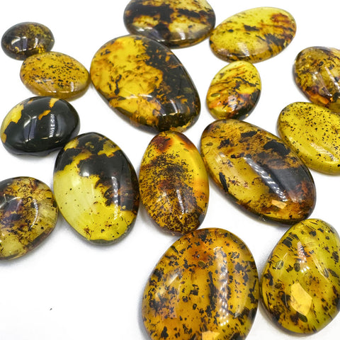 Fossil Amber Free Shape Cabochons