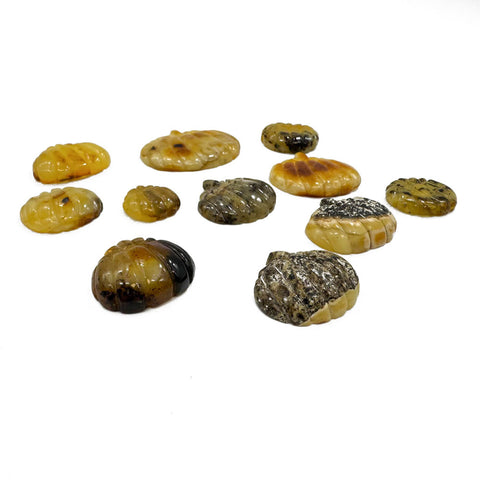 Milky Pumpkin Cognac Color Cabochons