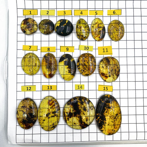 Fossil Amber Free Shape Cabochons