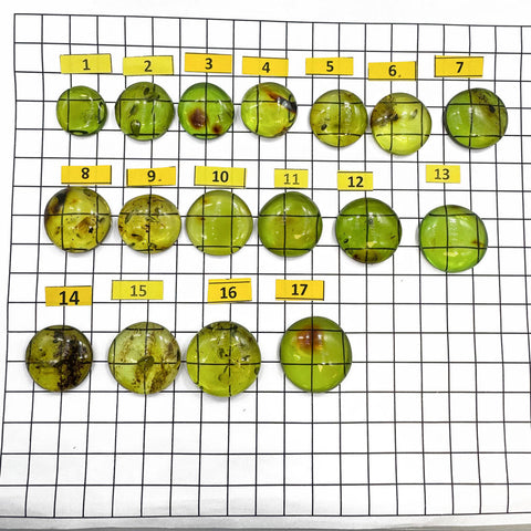 Green Amber Handmade Round Shape Cabochons