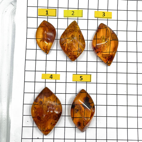 Cognac Amber Marquise Shape Cabochons
