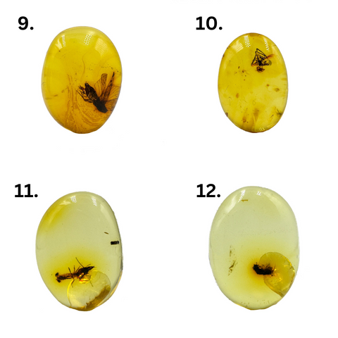 Lemon Amber Free Shape Cabochon With Insects