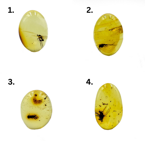 Lemon Amber Free Shape Cabochon With Insects