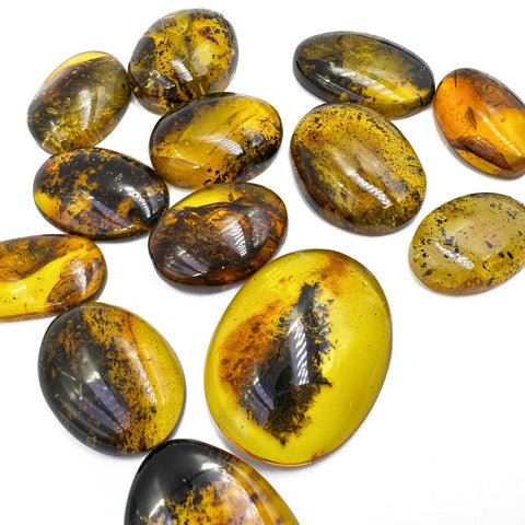 Fossil Amber Free Shape Cabochons