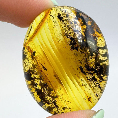 Fossil Amber Free Shape Cabochons