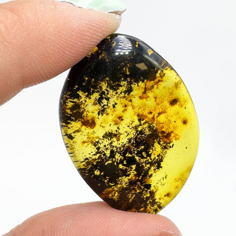 Fossil Amber Free Shape Cabochons