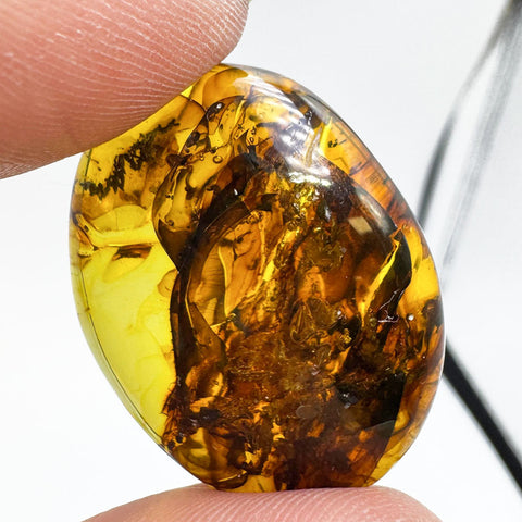 Fossil Amber Free Shape Cabochons