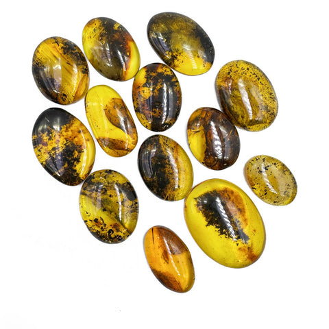 Fossil Amber Free Shape Cabochons