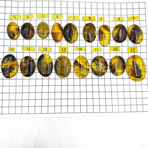 Fossil Amber Free Shape Cabochons