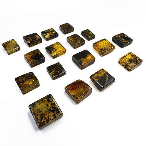 Fossil Amber Rectangular Free Shape Cabochons