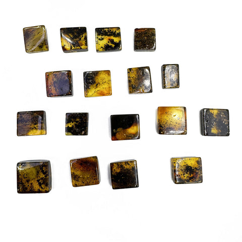 Fossil Amber Rectangular Free Shape Cabochons