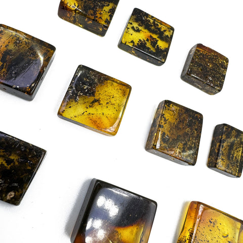 Fossil Amber Rectangular Free Shape Cabochons