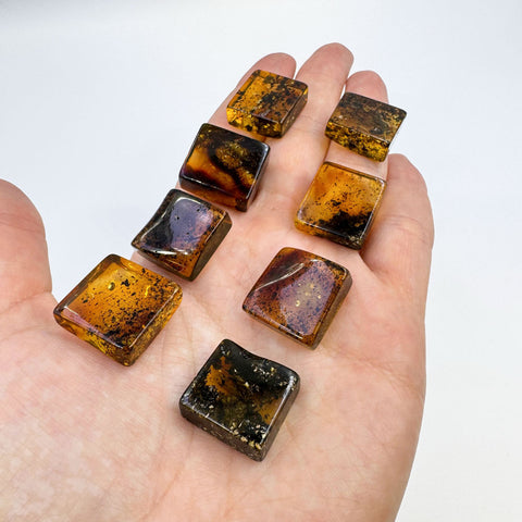 Fossil Amber Rectangular Free Shape Cabochons