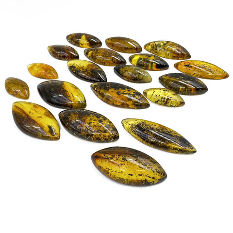 Fossil Amber Marquise Shape Cabochons