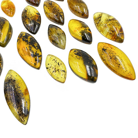 Fossil Amber Marquise Shape Cabochons
