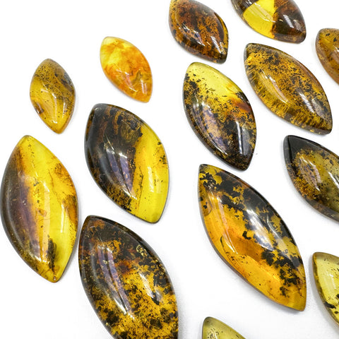 Fossil Amber Marquise Shape Cabochons
