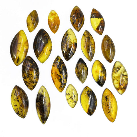 Fossil Amber Marquise Shape Cabochons