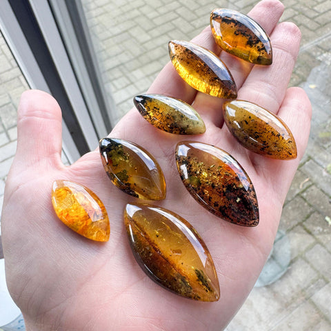 Fossil Amber Marquise Shape Cabochons