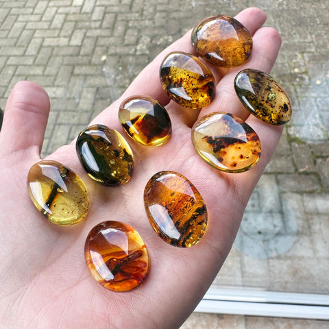 Fossil Amber Free Shape Cabochons