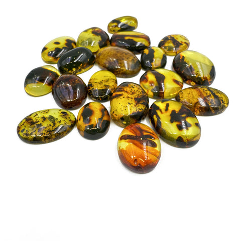 Fossil Amber Free Shape Cabochons