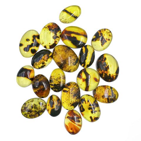 Fossil Amber Free Shape Cabochons