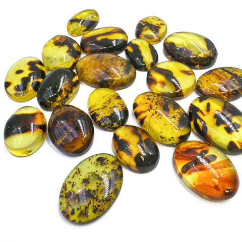 Fossil Amber Free Shape Cabochons