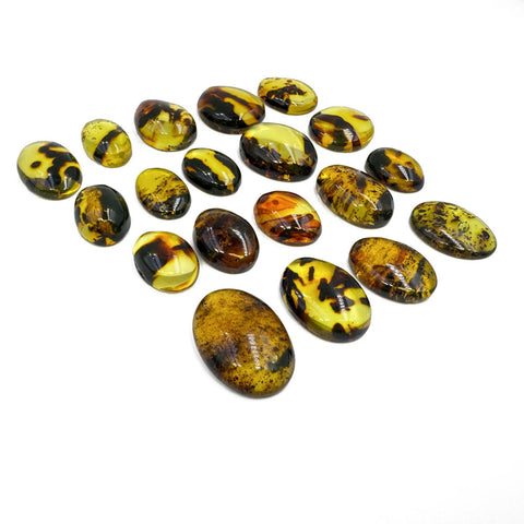 Fossil Amber Free Shape Cabochons