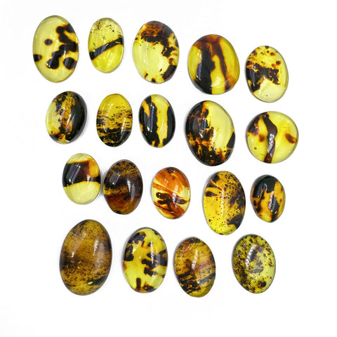 Fossil Amber Free Shape Cabochons