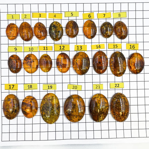 Cognac Amber Free Shape Cabochons
