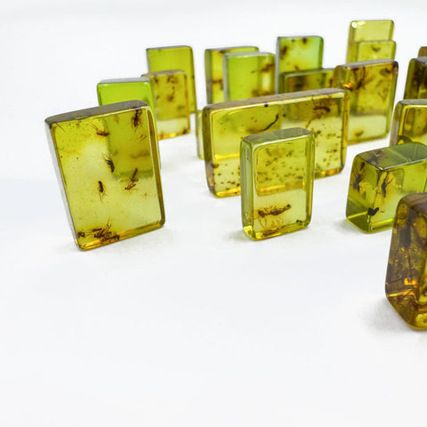 Green Amber Rectangular Shape Cabochons With Insects