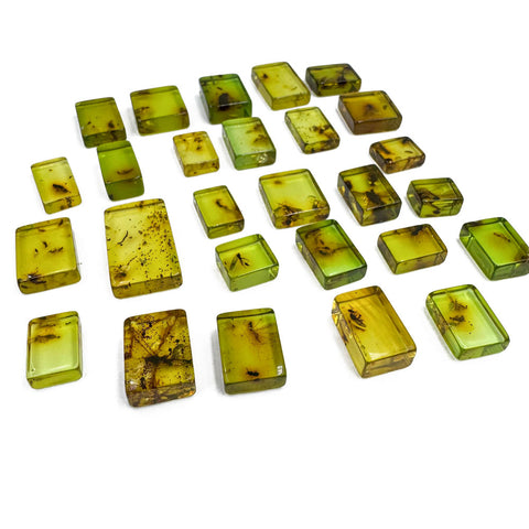 Green Amber Rectangular Shape Cabochons With Insects