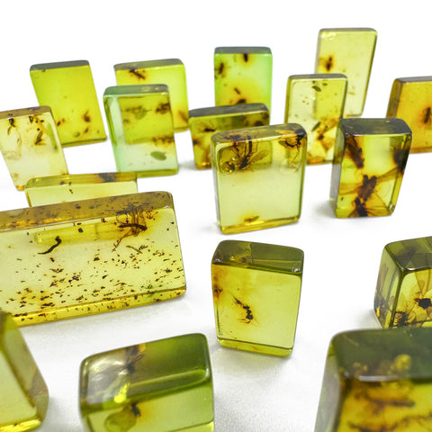 Green Amber Rectangular Shape Cabochons With Insects