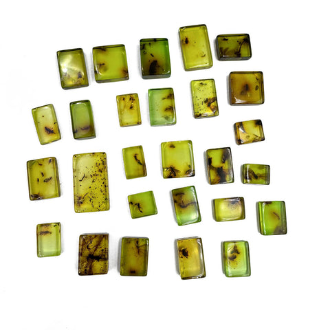 Green Amber Rectangular Shape Cabochons With Insects
