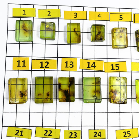 Green Amber Rectangular Shape Cabochons With Insects