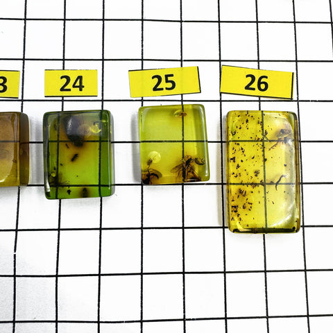 Green Amber Rectangular Shape Cabochons With Insects