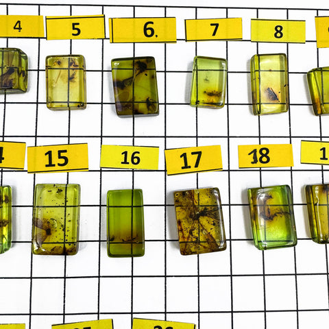 Green Amber Rectangular Shape Cabochons With Insects