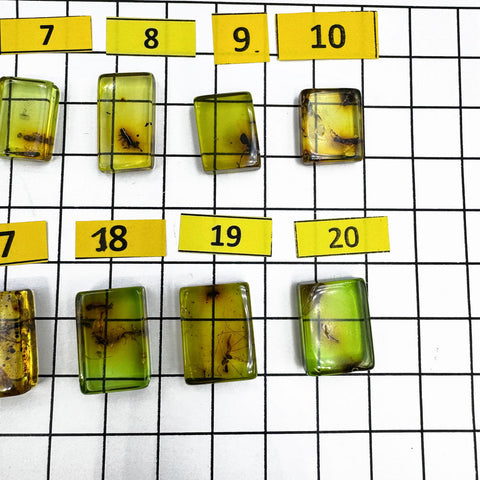 Green Amber Rectangular Shape Cabochons With Insects