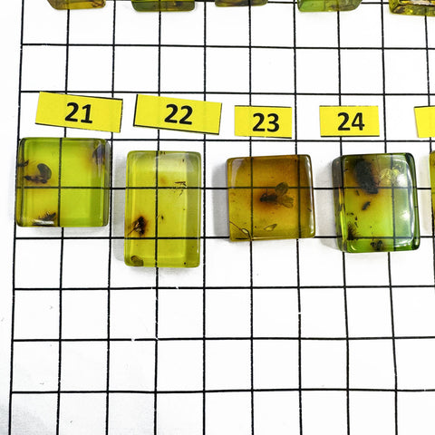 Green Amber Rectangular Shape Cabochons With Insects