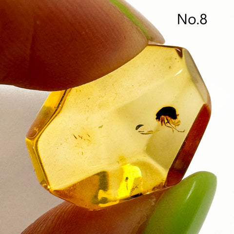 Crystal Cut Lemon color Amber Stone with Insects