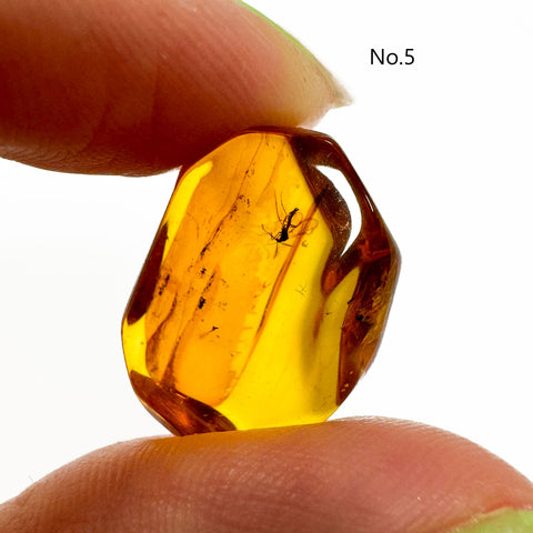 Crystal Cut Lemon color Amber Stone with Insects