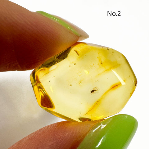 Crystal Cut Lemon color Amber Stone with Insects